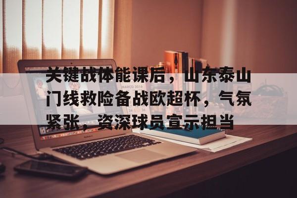 爱游戏娱乐-关键战体能课后，山东泰山门线救险备战欧超杯，气氛紧张，资深球员宣示担当的简单介绍